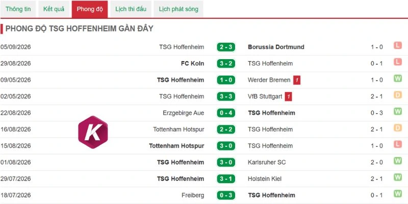 Lối chơi tệ hại của Hoffenheim